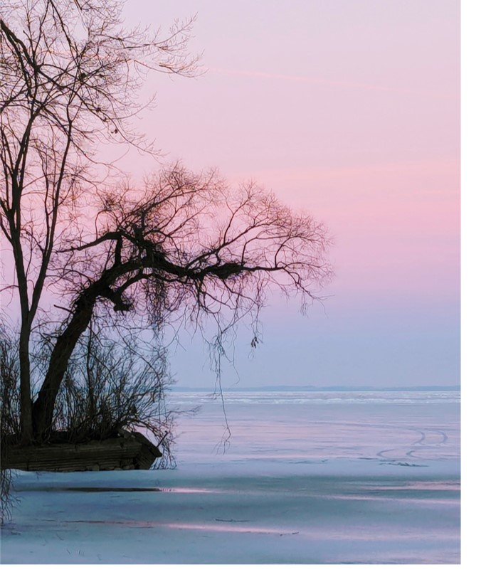 F-Stop 2024 photo contest entry: Drenched in Winter's light by Lisa Rudolph