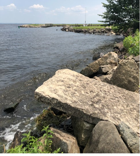 F-Stop photo contest entry: Shore Line Close-Up by Beth Stanton