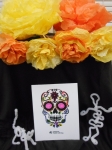 Dia de los Muertos Kit