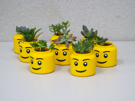 Yellow Lego head planters with succulents in them